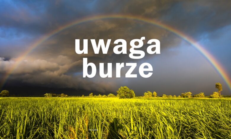 burze