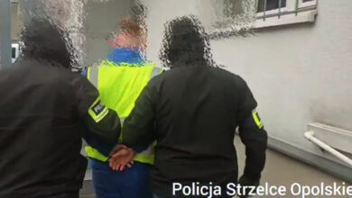 Zaginięcie 11-letniej Patrycji zarzuty dla 24-latka z Żor