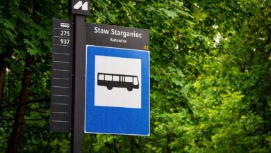 tablica przystanku Katowice starganiec, Letnie linie autobusowe