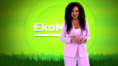 Ekomisja