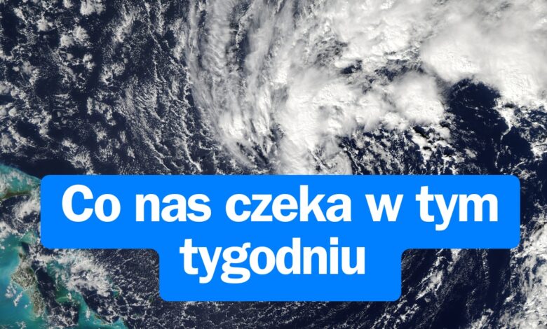 prognoza pogody