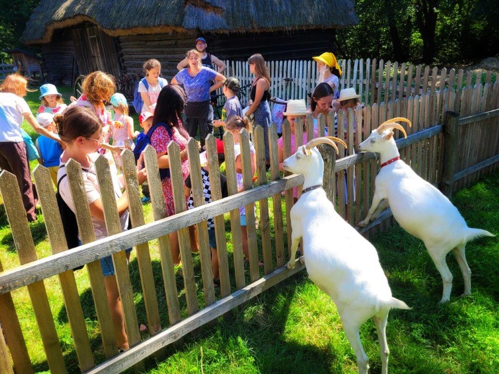 chorzowski skansen