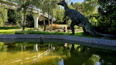 Szklana Kładka nad Kotliną Dinozaurów w Śląskim Ogrodzie Zoologicznym