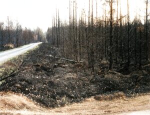 pożar Kuźnia Raciborska 1992