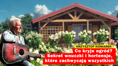 Krzysztof Koniarek
