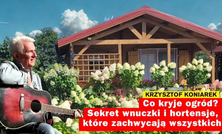 Krzysztof Koniarek