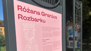 Róża Rozbarku