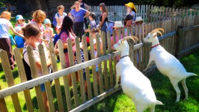 skansen w Chorzowie