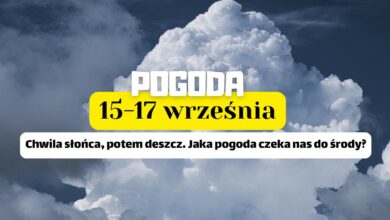 prognoza pogody