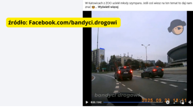 Grafika facebook