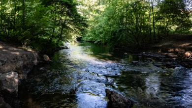 Klimatyczna Bytomka