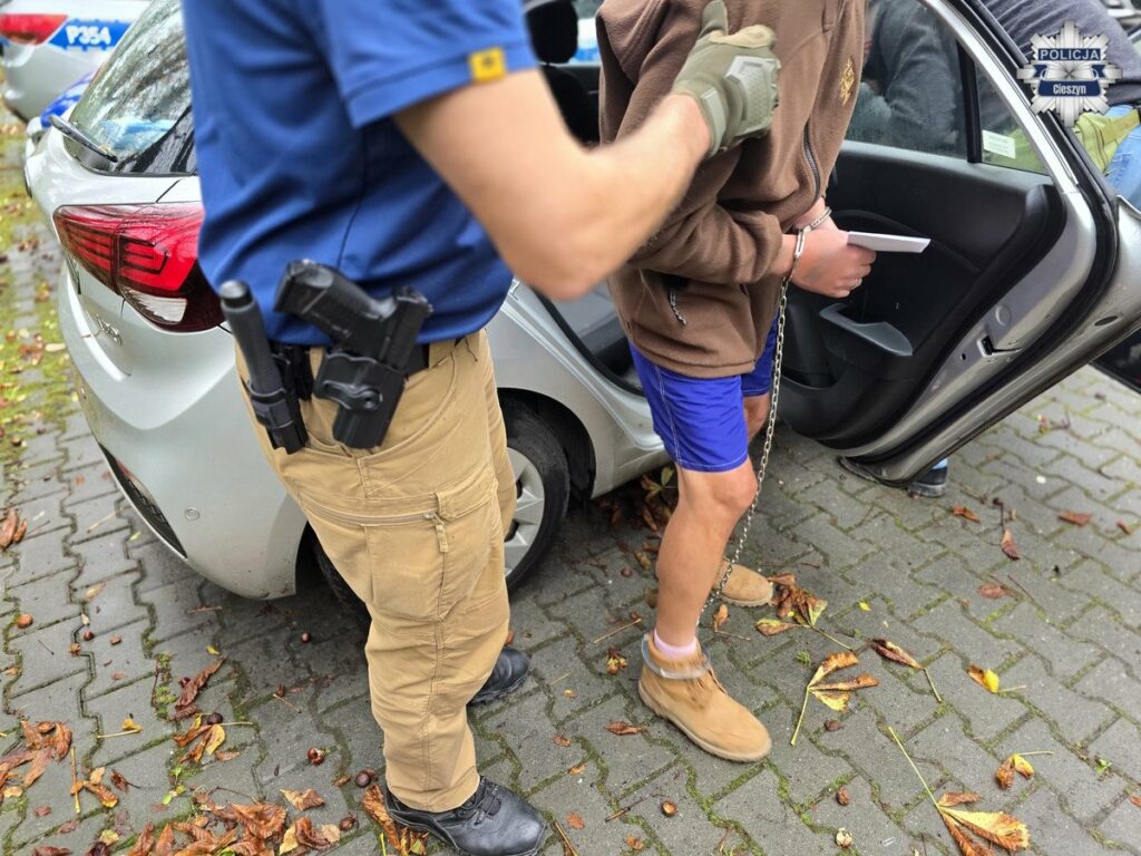 policja zatrzymanie