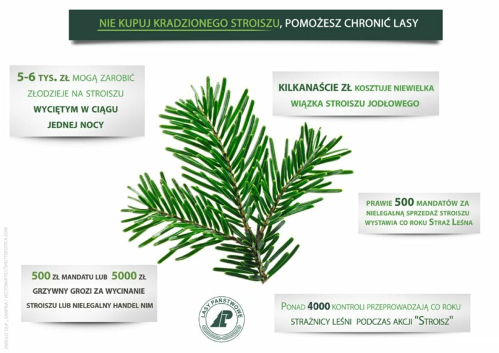 Akcja stroisz