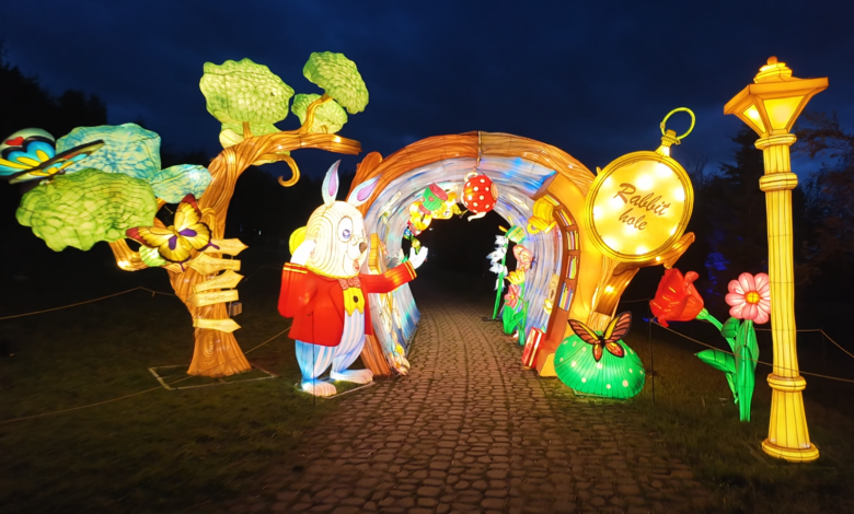 garden lights