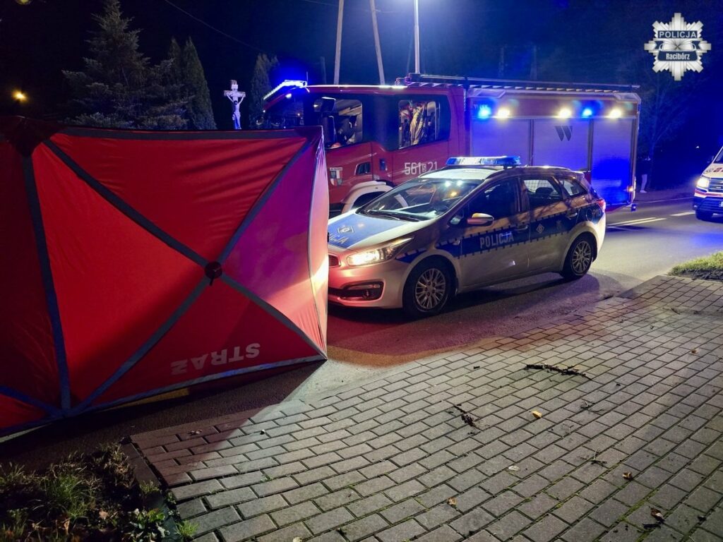 policja