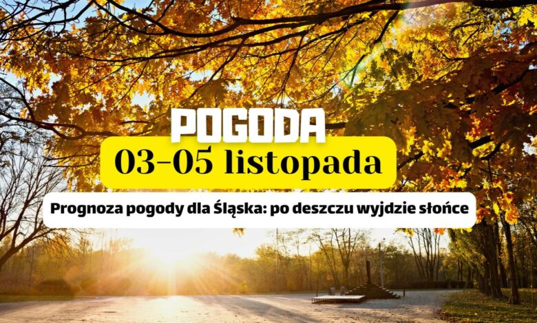 prognoza poogdy