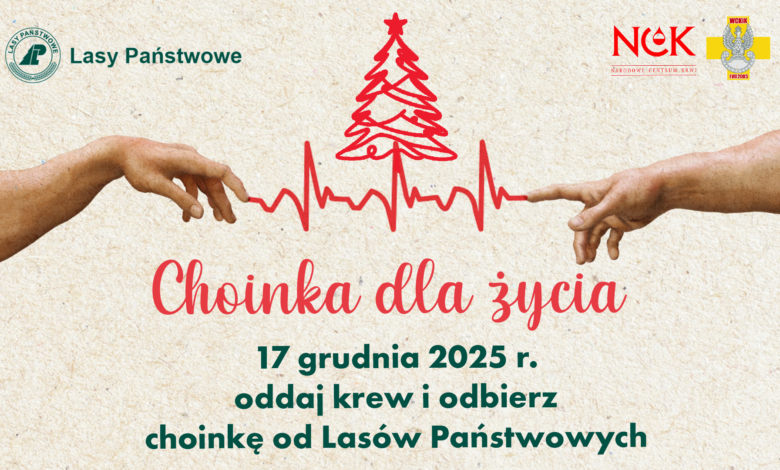 choinka dla życia