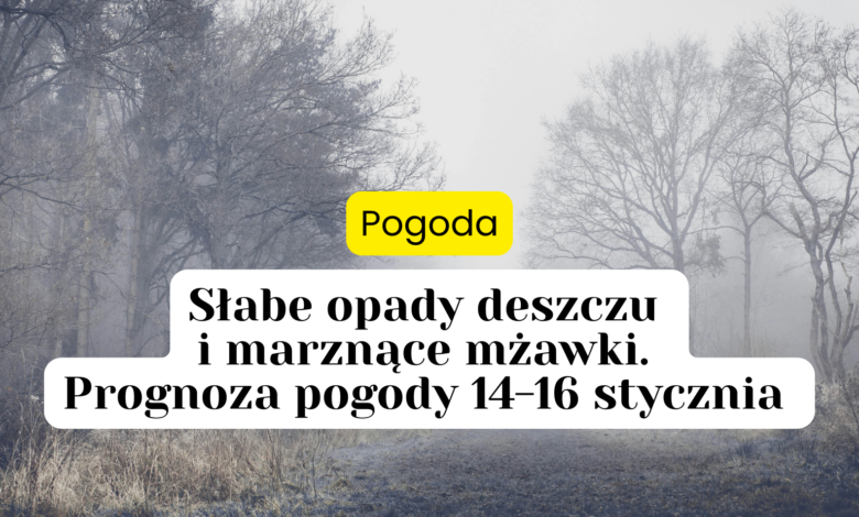 pogoda